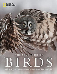 Book The Splendor Of Birds