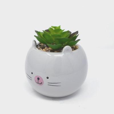 Succulent Cat Pot