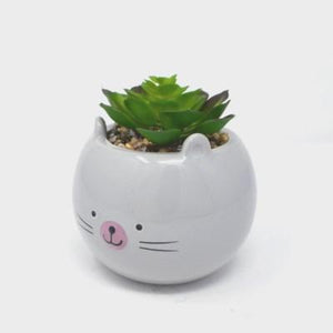 Succulent Cat Pot