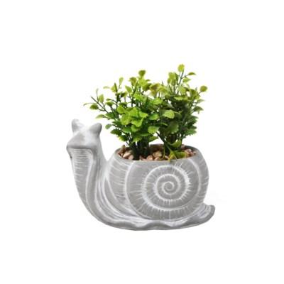 Snail Pot with Plant