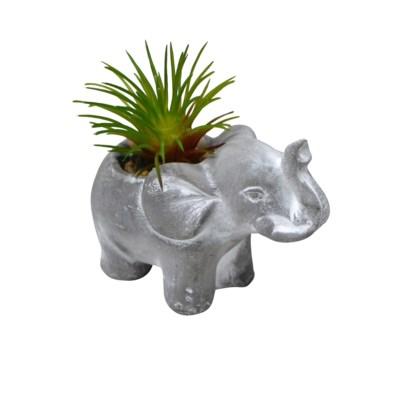 Elephant Pot with Plant