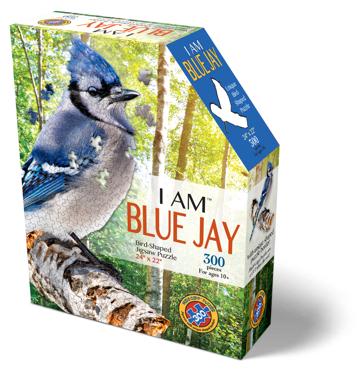 Blue Jay 300 piece puzzle