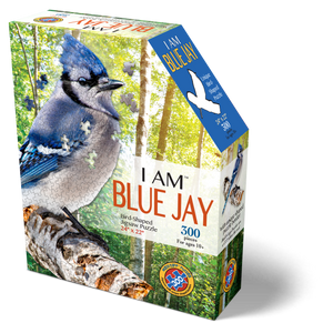 Blue Jay 300 piece puzzle