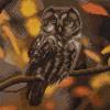 Crystal Art Tawny Owl