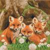 Crystal Art Fox Cubs