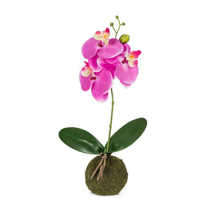 Faux Orchid w/Grass Ball 15"