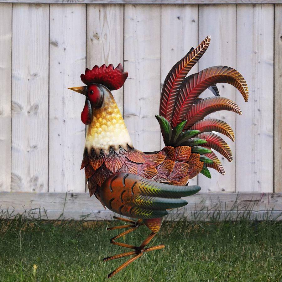 Leghorn Rooster